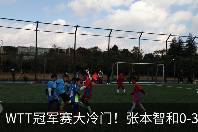 WTT冠军赛大冷门！张本智和0-3惨败一轮游，不敌32岁法国老将